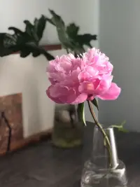 我好喜欢我自己呀。既能种菜又会养花，赚钱还不忘了貌美如花，哈哈哈，我好喜欢我自己呀～配图