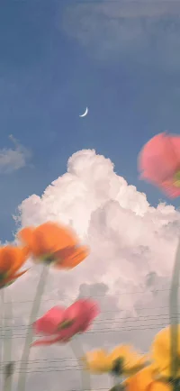 没什么 大愿望
没有什么事 要赶
看见路口红灯 一直闪
它像 眨眼的小太阳
乌云还挺大胆
顶在头上 吹不散
我抓在手里 捏成棉花糖
什么烦恼 不能忘
既然 是路一定有转弯
哪个风景 都漂亮配图