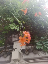 在這個凡事都求快的時代，慢慢來是一種誠意滿滿的安全感。配圖