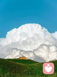 如果你是一個內向的人，不要認為這種內向、“社恐”的性格一定是不好的。
通常具有內向性格的人，創造力更強、想象力更豐富，對事物的看法更深刻，在與人交流過程中，更擅長傾聽。
在工作上，可能外向的人更適合跟人交際，但內向性格的人也有不可替代的優勢。
具有內向性格的人可以在一個領域長期保持關注，他們更喜歡追求深度而不是廣度，更容易成為專家。
如果我們完全看不到內向的優勢，一味去排斥內向這個特質，努力讓自己外向，就相當于把洗澡水和孩子一起倒掉。
與其跟自己過不去，不如揚長避短，把自己的特點發揮出來，讓自己的特質成為自己的競爭力。
要相信自己，每個人都是獨一無二的，任何性格的人，都有其可愛之處呀~配圖
