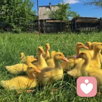 與其焦慮未來，不如專注當下，把眼前的事做好。配圖