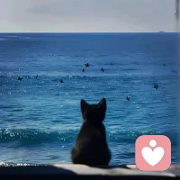 如果大的目標實現起來太難，就把它拆解成無數個容易實現的小目標，一步步腳踏實地的朝著目標前進，成功就是早晚的問題。很多時候，我們想，都是問題，做，就都是答案。早安～配圖