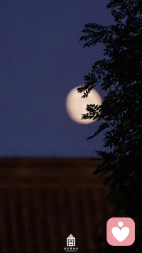 若是月亮還沒來，
路燈也可照窗臺，
照著白色的山茶花微微開，
若是晨風還沒來，
晚風也可吹入懷，
吹著那一地樹影溫柔搖擺。
當中秋遇上臺風天，沒有月亮看，也要快樂呀，中秋快樂～配圖