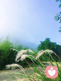 心若無所求，有風無風皆自由。我好喜歡我自己呀～配圖