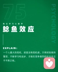 鯰魚效應(yīng)配圖