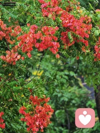 貴的東西除了貴，哪里都好，便宜的東西除了便宜，哪里都不好。配圖