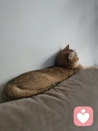 這個小背影在想啥，怎么看著有點想emo吶，有啥心事嘛跟麻麻說說，放著個免費的咨詢師你怎么不用吶～哈哈～配圖