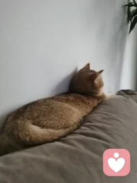 這個小背影在想啥，怎么看著有點想emo吶，有啥心事嘛跟麻麻說說，放著個免費的咨詢師你怎么不用吶～哈哈～配圖