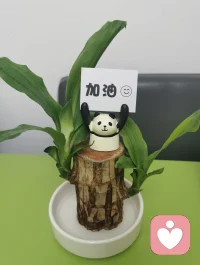 今天也要加油吖～配圖