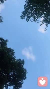 有秋高氣爽那味兒了～慢跑是項不錯的運動～當你跑起來，那些煩惱就追不上你了～配圖