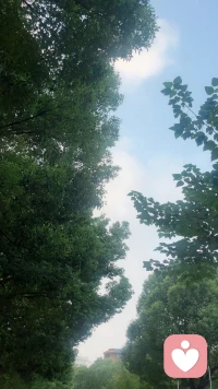 有秋高氣爽那味兒了～慢跑是項不錯的運動～當你跑起來，那些煩惱就追不上你了～配圖