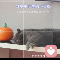 犯困日常。配圖