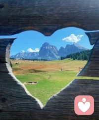 要放假了哦。
沒有對象、沒有朋友、沒有寵物、也不滿足于自我擁抱的朋友，你并不孤單。
你可以選擇去擁抱一棵樹、躺在一片草地上、去觸摸花瓣上的露水，也可以脫了鞋子光腳走路......
用最原始的方式去擴大和這個世界的接觸面積，大自然是慷慨且無限的。
她會給予你最溫柔的愛撫，為你注入最純凈的能量。配圖