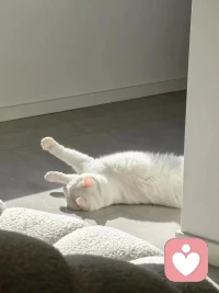 松弛有度不是刻意的，而是發自內心的。
能真正放松自己，保持開開心心，保持好感受，就是真松弛。我也需要這樣的狀態，希望我們都可以常常做到。配圖