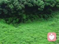 無需對抗不合時宜，做好自己就是合乎時宜。早安～配圖