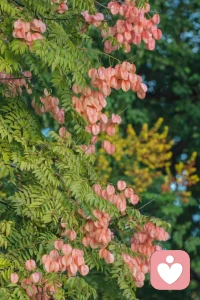 無需對抗不合時宜，做好自己就是合乎時宜。早安～配圖