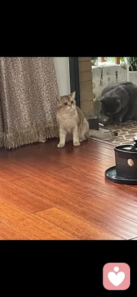 今天不見，寶寶們好像又睿智了哈哈哈哈配圖