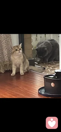 今天不見，寶寶們好像又睿智了哈哈哈哈配圖