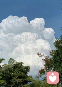 心理學家Curtis將愛情分為“成熟的愛”和“不成熟的愛”。
在成熟的愛情中，我們將更多精力放在彼此成長上，相互關照、尊重，發自內心希望對方成為更好的個體。這樣的關系中，更多的是平和、溫暖。
而不成熟的愛情，則有更多權利角逐、占有欲、過度的依賴，這種愛是成癮且不受控的。可能給你帶來更多“戀愛的感覺”，卻是盲目的、不受控制的。
真正的親密關系，是依戀與安全，是偶爾激烈，通常平和。配圖