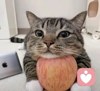 心理學(xué)上有個(gè)“投射效應(yīng)”，指的是：人們總傾向認(rèn)為別人的思維和習(xí)慣要和自己一致，如果不同，就想改造他人。
有時(shí)候，我們碰見一個(gè)人，明明不適合做伴侶或者朋友，但還一廂情愿地想著和他們相處，甚至想要把對(duì)方改造成你想要的樣子。
但請(qǐng)一定不要這么做，因?yàn)槟闶歉淖儾涣藙e人的，而且這么做只會(huì)浪費(fèi)自己的人生。配圖