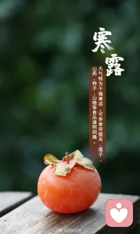 今日寒露，天涼多加衣，早安～配圖