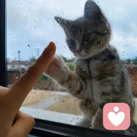 不要在生氣的時(shí)候做決定，遇事的時(shí)候先冷靜下來，讓子彈飛一會(huì)兒～配圖