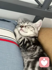 累了就好好休息，晚安～配圖