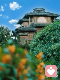 杭州的秋天實在太美好了，不能辜負好光景吖～配圖