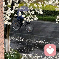 ?好的愛情
是兩個人輪流做小孩。
?好的愛情
是一個愿打，一個愿挨。
?好的愛情
是在負面情緒中，
能接住伴侶，也能接住自己。配圖