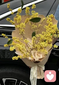 ?讓該來的來，讓該走的走，命里有時終須有，命里無時莫強求。配圖