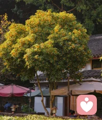 ?擔心咨詢師會泄露隱私怎么辦？
有些人會害怕在咨詢過程中吐露內心的秘密，同時擔心隱私被泄露出去，沒有安全感。
?其實心理咨詢人員會嚴格遵守保密原則，尊重來訪者的個人隱私權，這也有利于來訪者在心理安全的前提下坦誠自己，促進心理咨詢的有效展開。配圖