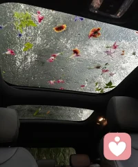 ?雨天有雨天的快樂～有人懂是幸運，被人懂是幸福。你是幸運的還是幸福的？這世界有那么多人，希望我剛好是懂你的那一個～?配圖