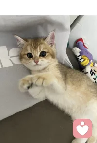 ?千萬不要看見別人發光，就覺得自己暗淡，生活中人和人的節奏不一樣。有人三分鐘泡面，有人三小時煲湯，你選擇了你要的生活方式，就堅持走下去。?加油??配圖