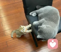 ?自尊心太強就是自卑的表現。真正自信的人，內核穩定的人，能量高的人，從來不需要別人的認同感，你就是你自己的小宇宙，你就是一個本自具足的人，不需要誰的認可。
?早安。配圖