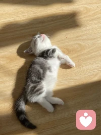 ?只有磁場相近的人，才會互相吸引，彼此契合，不用去刻意迎合和妥協；只有頻率相同的人，才能看到彼此內心深處不為人知的溫柔，理解你的山河萬里，尊重你的與眾不同！所以，大家一定要找到那個和自己同頻的人，相處起來才是最舒服最自在的。 ???配圖