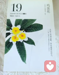 時間偷偷溜走，日歷又剩下薄薄的一層。珍惜當下的每一天，周末愉快呀～?配圖