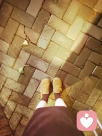 秋天的味道，天涼了。配圖