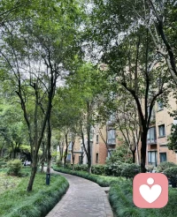 喝茶也喝酒。肆意快活也能享受安靜生活。?配圖