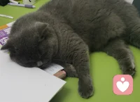 有那么一瞬間，如果你覺得很累，就允許自己擺爛吧！配圖