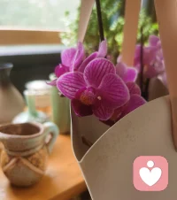 雨天，賞花，擼貓，喝茶。周末愉快，等你來聊哦。?配圖