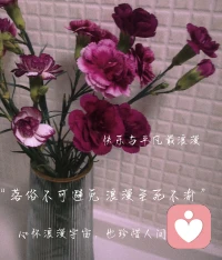 它，遇上懂它的人，才會被欣賞。?配圖