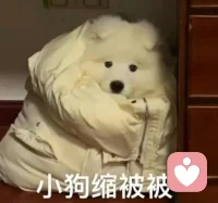 天一冷，你們不會就想冬眠了吧～配圖