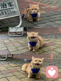 ?人性就是勢利的，能讓所有人低頭的，是你的實(shí)力和金錢。真正決定你的價值與成就的，從來不是虛名，而是你真實(shí)掌握的能力與技能，身處低谷時，與其抱怨人性的現(xiàn)實(shí)，不如提高自己。請記住：別人對你的態(tài)度，取決于你的實(shí)力。配圖