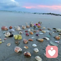 生活其實是在過自己，不是過給別人看的。
內心舒適，身體舒適，生活自然舒適。
早呀?配圖