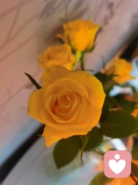 茫茫人海中，相遇皆緣分，歡迎敞開心扉訴說你的故事，有我在聽。配圖