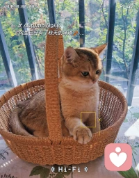 ?你要相信，一切發生皆有利于我。當你把一件事情搞砸了，恰恰是讓你總結經驗，然后在下次把事情做成功。
而你過去發生的那些令你不快樂的事情，其實也是為了讓你感受到美好事情的快樂。
?只有當你放下過去，忘卻痛苦，心靈才能得到真正的解脫。配圖