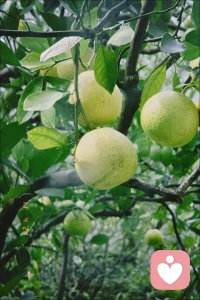 ?當負面情緒產生時，我們可以嘗試用耐心馴服情緒的烈馬，形成心流體驗，用行動治百病。比如我們可以去做手工、運動、插花、畫畫、寫東西等你喜歡的、擅長的事。通過做這些事，用勝任感和成就感來填充自己，可以有效應對失控，驅散彌散的自我懷疑。配圖