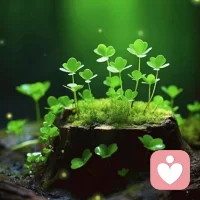 ?人生就是一場(chǎng)修行，勿以善小而不為，勿以惡小而為之！?配圖