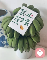 ?禁止蕉綠。
香蕉可以刺激神經(jīng)系統(tǒng)，讓人感覺平和、歡樂。香蕉富含鎂、鉀離子，可以緩解疲勞，所以我們經(jīng)常看到運動員在賽場休息時吃香蕉。
如果一定安利一種水果的話，那就安利香蕉吧。?配圖