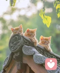 ?很喜歡泰戈爾的一句話：“ 我最后的敬意，要獻給那些知道我不完美卻依然愛我的人。” ? ???配圖